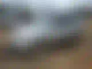 Vehicle Image- 2012 Honda Pilot