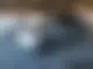 Vehicle Image- 2014 Honda Pilot