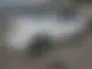 Vehicle Image- 2009 Honda Pilot