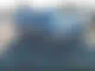 Vehicle Image- 2009 Honda Pilot