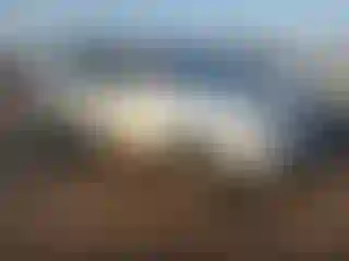 Vehicle Image- 2009 Honda Pilot