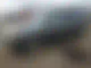 Vehicle Image- 2009 Honda Pilot