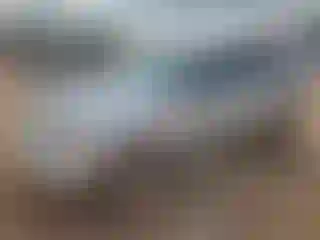 Vehicle Image- 2011 Honda Pilot