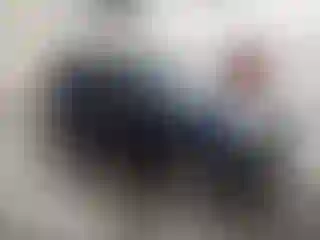 Vehicle Image- 2010 Honda Pilot