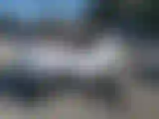 Vehicle Image- 2011 Honda Pilot