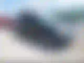 Vehicle Image- 2011 Honda Pilot