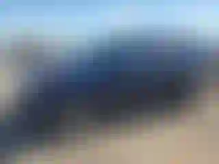 Vehicle Image- 2013 Honda Pilot