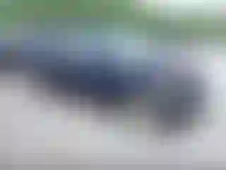 Vehicle Image- 2013 Honda Pilot