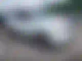 Vehicle Image- 2011 Honda Pilot