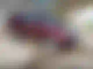 Vehicle Image- 2015 Honda Pilot