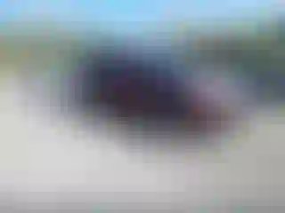 Vehicle Image- 2011 Honda Pilot