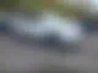 Vehicle Image- 2010 Honda Pilot