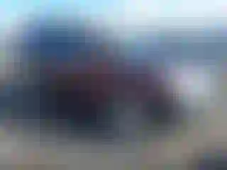 Vehicle Image- 2011 Honda Pilot