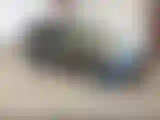 Vehicle Image- 2011 Honda Pilot