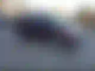 Vehicle Image- 2012 Honda Pilot