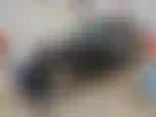 Vehicle Image- 2015 Honda Pilot