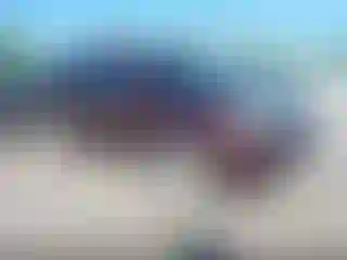 Vehicle Image- 2011 Honda Pilot