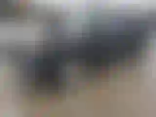 Vehicle Image- 2010 Honda Pilot