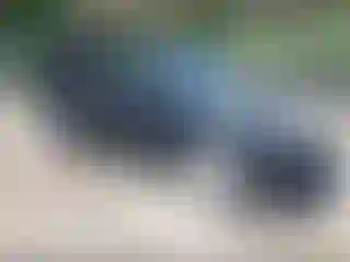 Vehicle Image- 2015 Honda Pilot