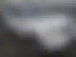 Vehicle Image- 2011 Honda Pilot