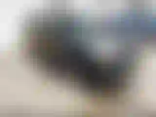 Vehicle Image- 2013 Honda Pilot