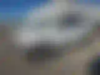 Vehicle Image- 2014 Honda Pilot