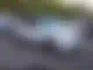 Vehicle Image- 2013 Honda Pilot