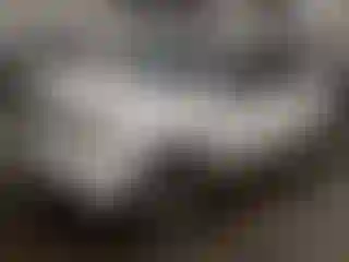 Vehicle Image- 2010 Honda Pilot