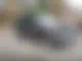 Vehicle Image- 2014 Honda Pilot