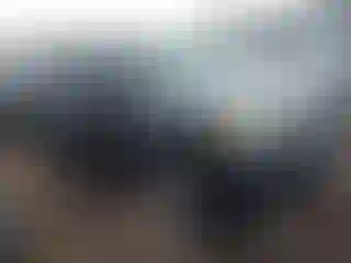 Vehicle Image- 2011 Honda Pilot