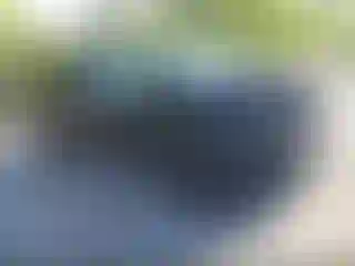 Vehicle Image- 2022 Honda Pilot