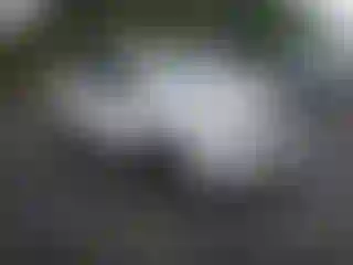 Vehicle Image- 2017 Honda Pilot