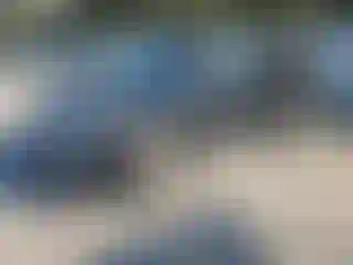 Vehicle Image- 2016 Honda Pilot