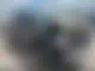 Vehicle Image- 2020 Honda Pilot