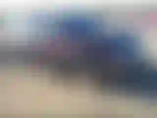 Vehicle Image- 2016 Honda Pilot