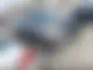 Vehicle Image- 2017 Honda Pilot