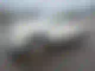 Vehicle Image- 2018 Honda Pilot