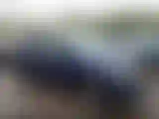 Vehicle Image- 2022 Honda Pilot