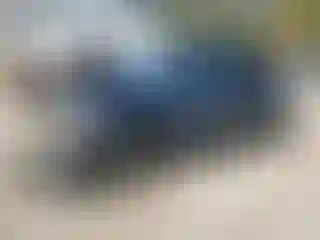 Vehicle Image- 2020 Honda Pilot