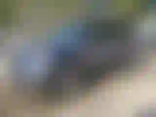 Vehicle Image- 2018 Honda Pilot