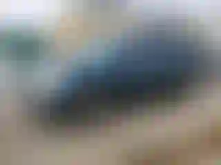 Vehicle Image- 2018 Honda Pilot