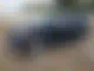 Vehicle Image- 2016 Honda Pilot