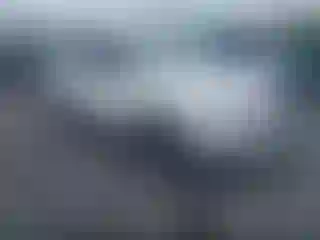 Vehicle Image- 2017 Honda Pilot