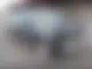 Vehicle Image- 2016 Honda Pilot