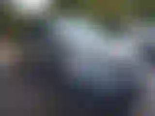 Vehicle Image- 2022 Honda Pilot