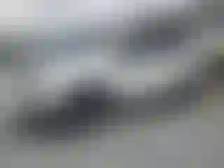 Vehicle Image- 2022 Honda Pilot
