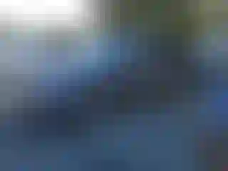 Vehicle Image- 2019 Honda Pilot