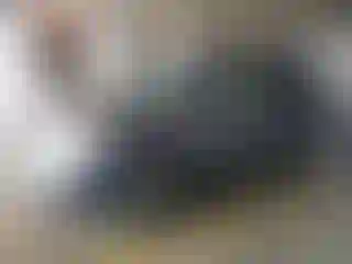 Vehicle Image- 2019 Honda Pilot