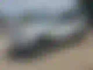Vehicle Image- 2020 Honda Pilot