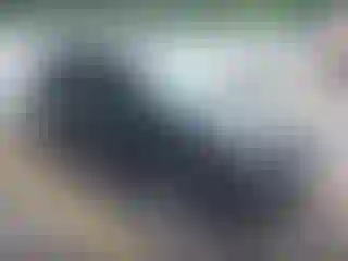 Vehicle Image- 2022 Honda Pilot